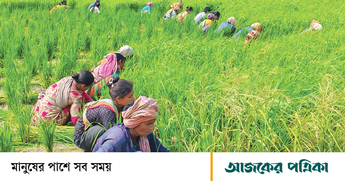 প্রকৃতি রক্ষা ও সম-অধিকারের লড়াইয়ে গ্রামীণ নারী